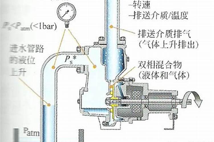 长叶子疏菜施什么肥长的快