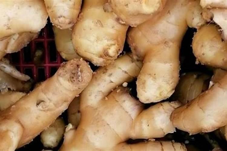 缓控释肥和缓释肥、控释肥有什么不同？缓控释肥与复合肥的区别？