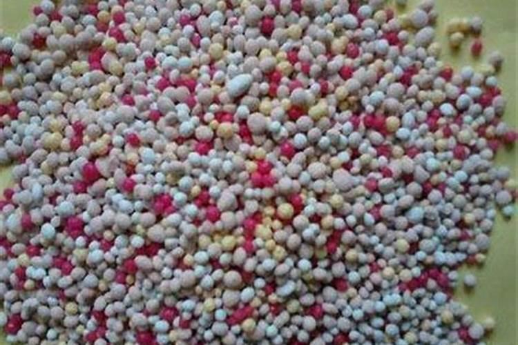 花果控释肥的正确使用方法