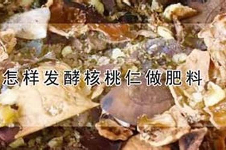 坏核桃仁可以当肥料养花吗