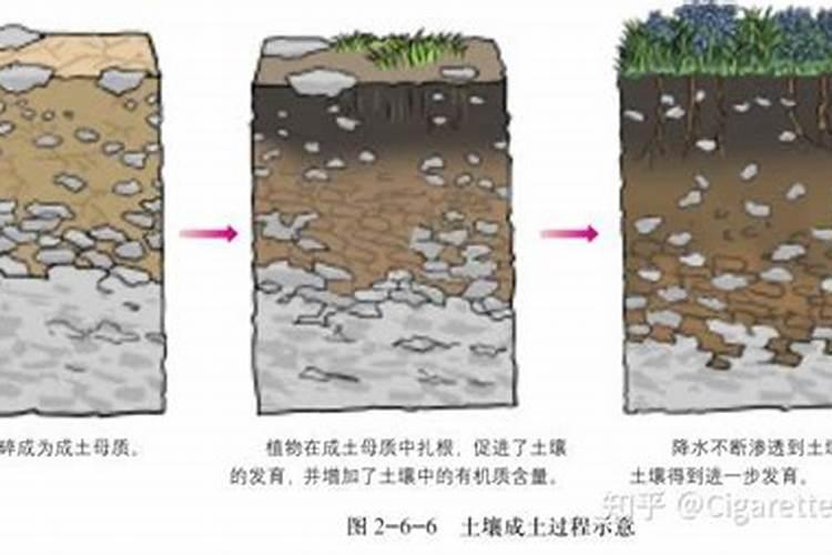 颗粒硼肥的正确使用方法