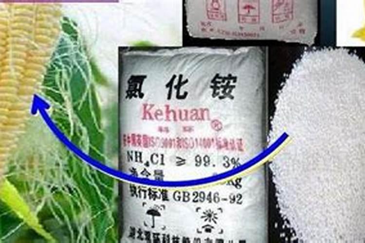 铵态氮肥有哪些是不能与碱性物质