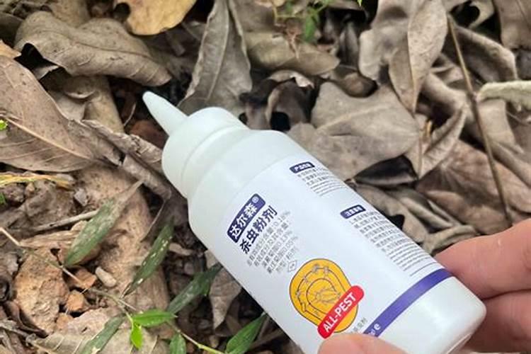 丝瓜催芽多少温度最合适