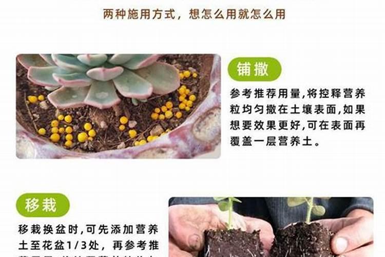 果树喷施叶面肥有什么好处？你怎么看？