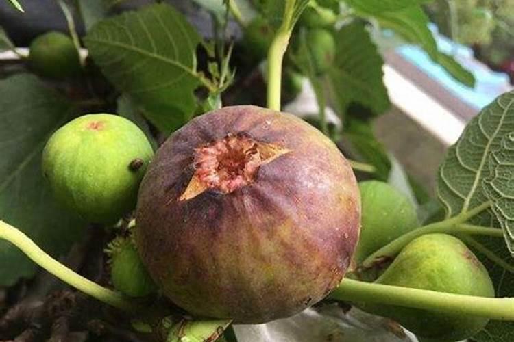 新疆天海腾惠科技股份有限公司公司发展及前景