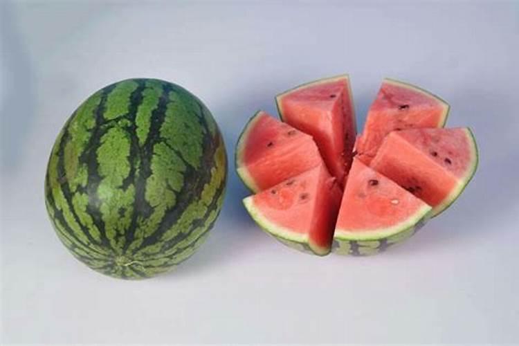 棉桃是什么东西