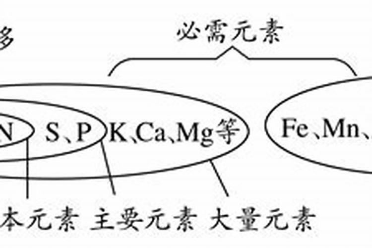 大量元素,主要元素,基本元素,最基本元素。帮忙解释区别一下。百度知...