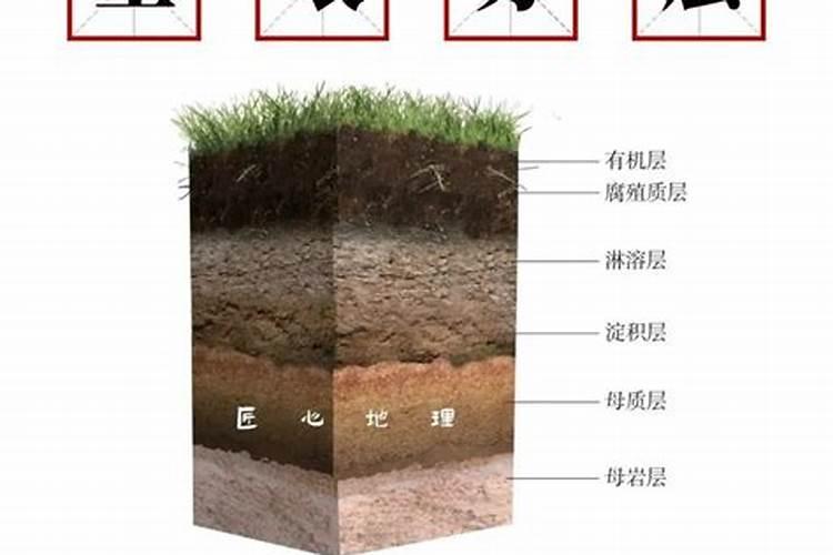 泥炭土是什么土 泥炭土和营养土怎么区分