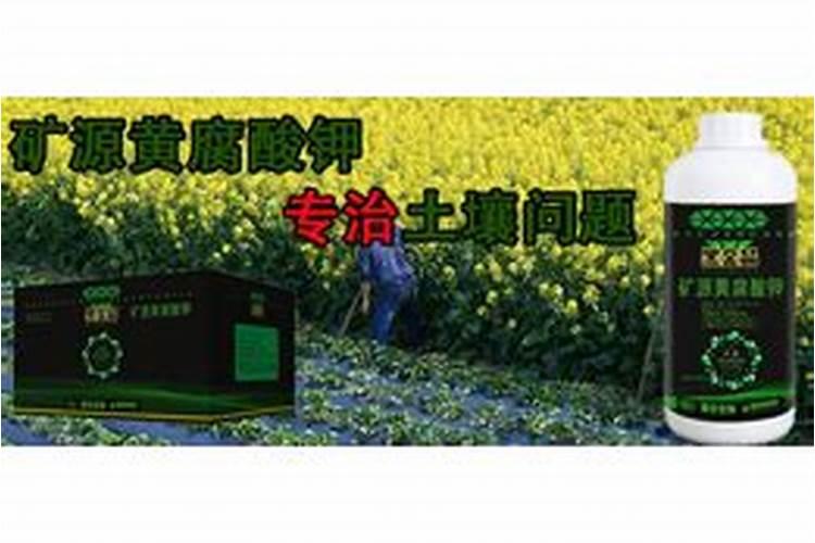 矿源黄腐酸钾可以用在新移栽的树苗吗？