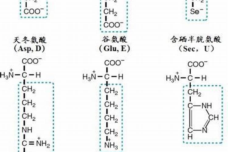 氨基酸对鱼有什么作用