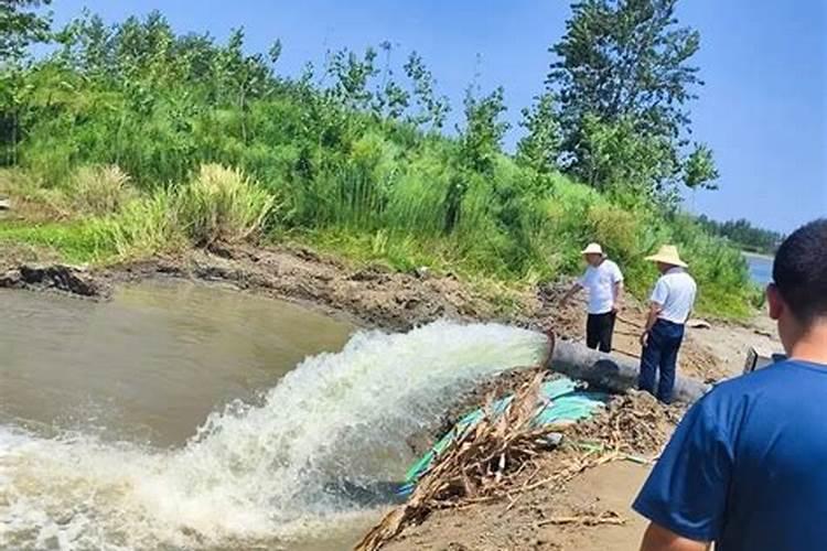 什么叶面肥对水稻最好？了解这些让水稻增产增收!