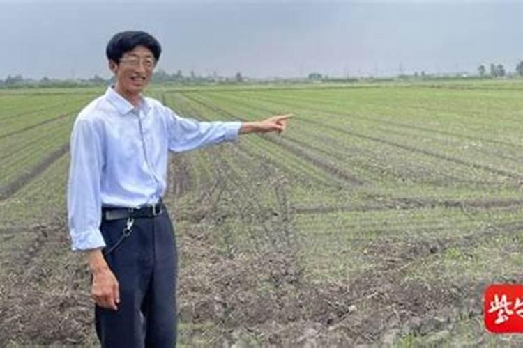 施用钾肥为何要配施石灰或有机肥