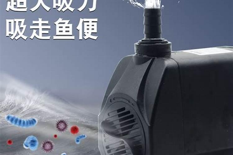 绿萝浇什么肥料合适