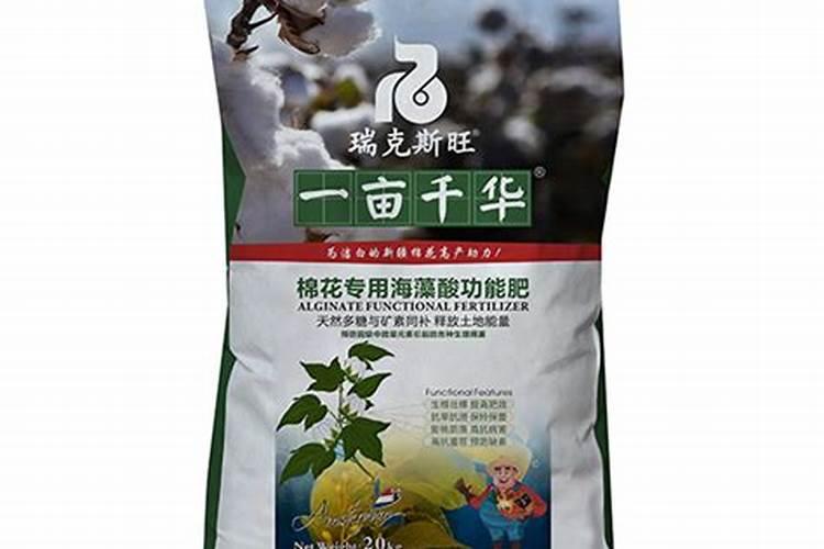 大棚玫瑰花做桩后多久浇水好一点？