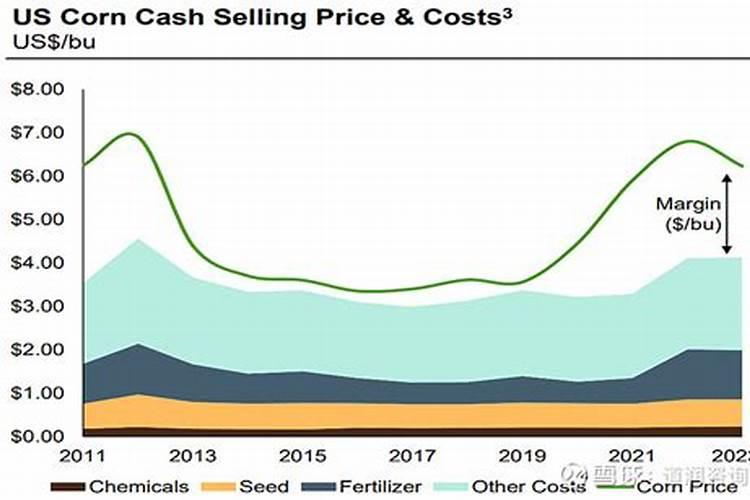 硅肥在水稻喷施最佳时间