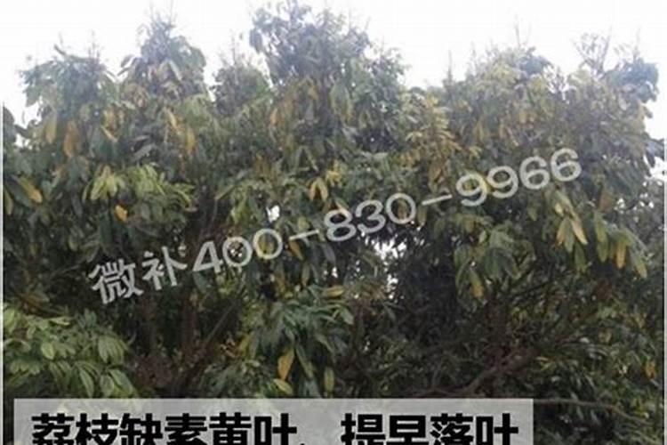 俄罗斯格陵兰化肥好吗