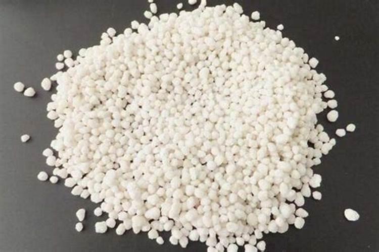 铁兰花期长,观赏价值高,很多人却说它矫情难养,掌握技巧,好养是真的...