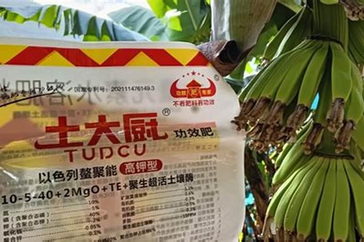 葡萄叶子是黄色的,是什么原因？用什么药可以改善？