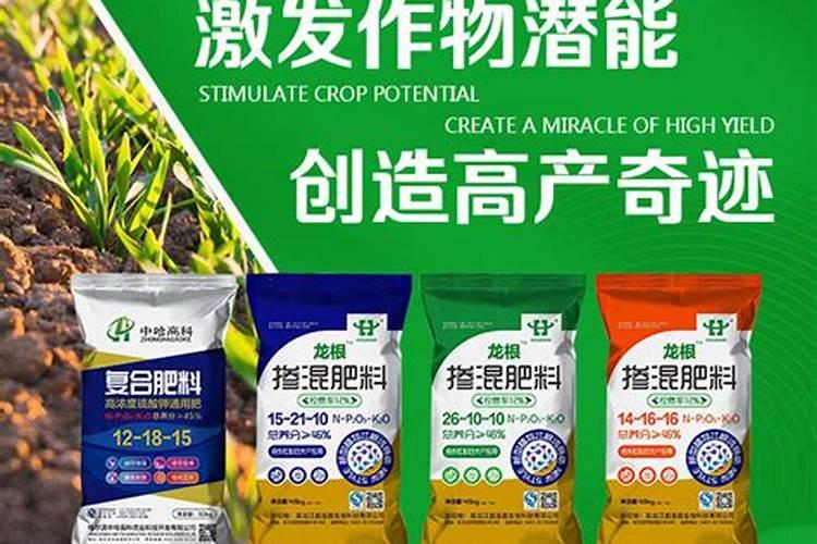 如何使三角梅快速生根