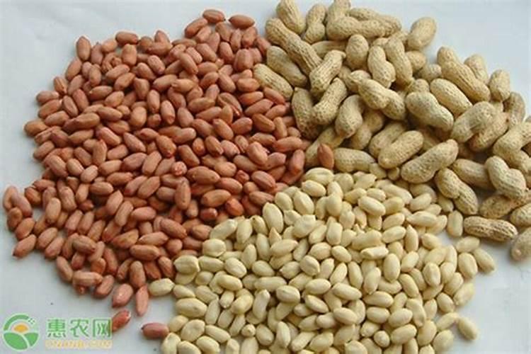 花生肤水肥兑水多少合适