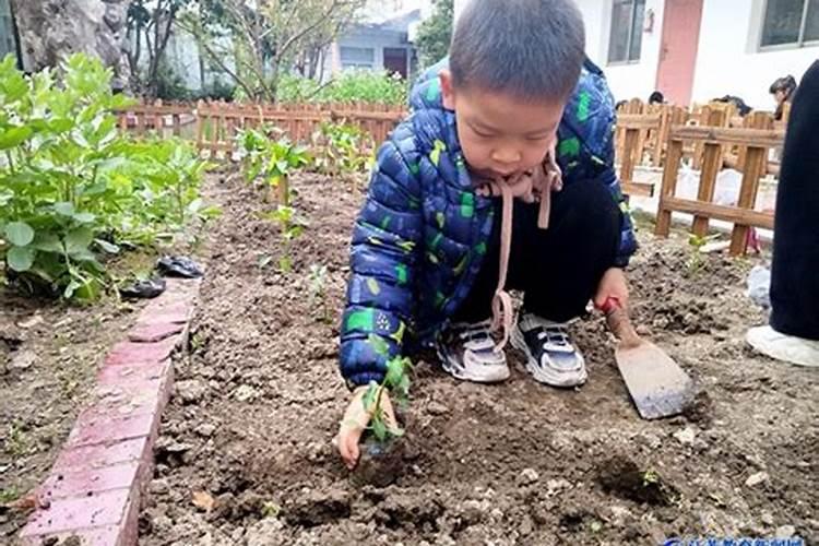 “谷雨前后,种瓜点豆”,豆角一般喜欢什么样的肥料？需要注意什么？