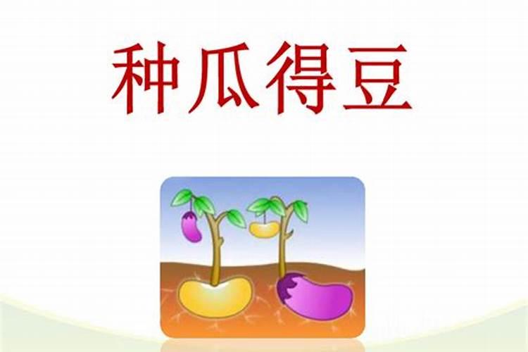 大豆什么时候种植最好？
