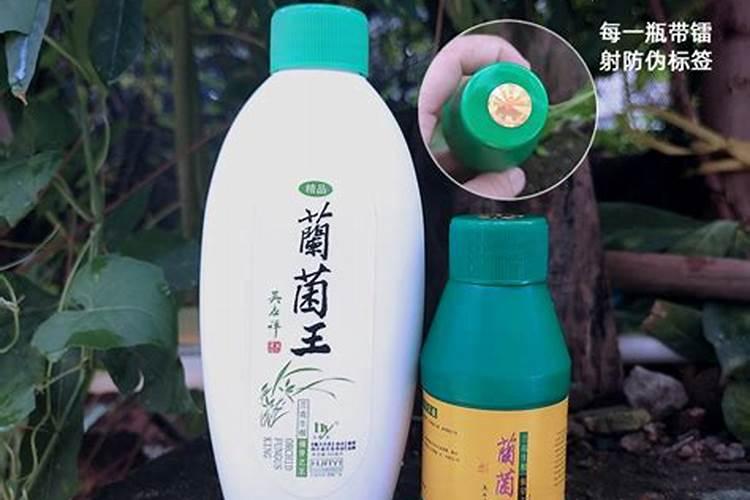 南瓜光长蔓不结果是什么肥施多了