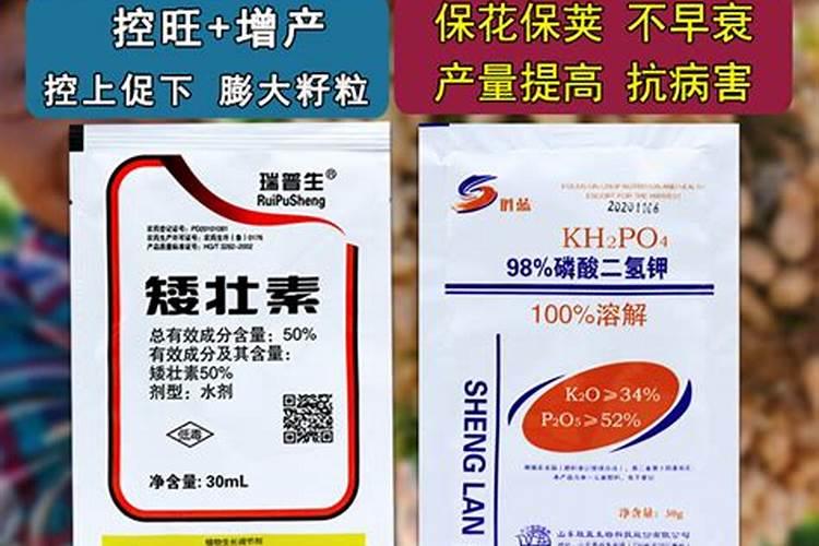 三方聚合氨基酸复合肥特点