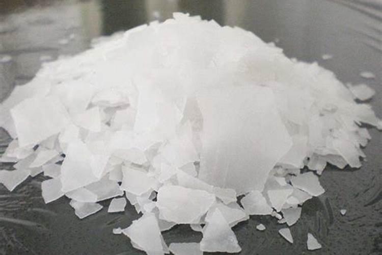 凤尾鸡冠花多大可以移栽