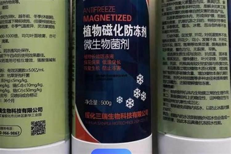 种大蒜施底肥正确方法