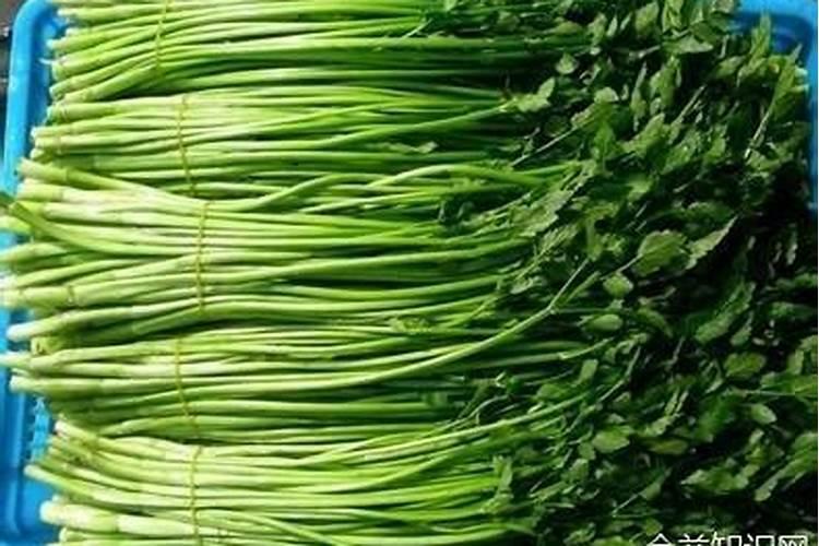 水溶肥料怎么使用 水溶肥如何使用效果更好