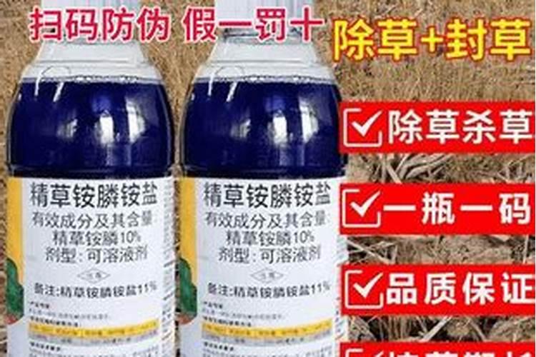 洋葱施什么肥生长最快