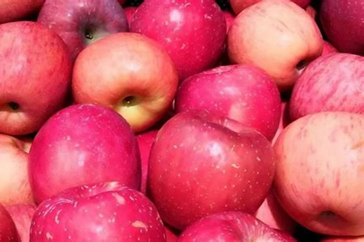 苹果树硼中毒怎么办