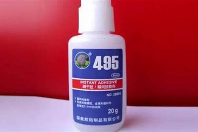 冰菜种植技术方法