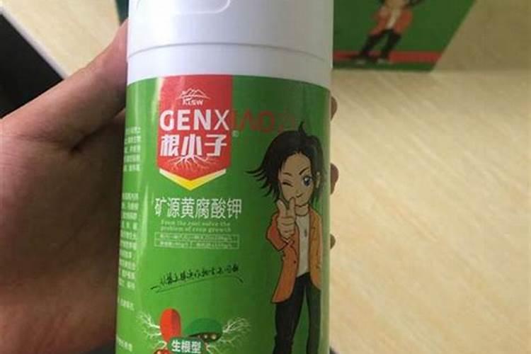 怎样使金钱树叶子更绿