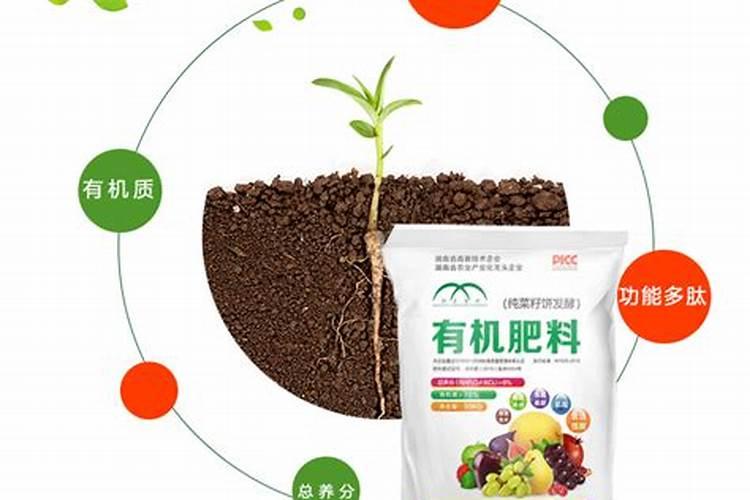 15%多效唑的使用方法