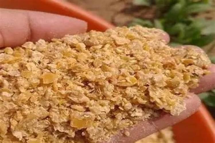 豆饼和豆粕的区别