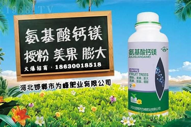 兰花冬天怎么浇水