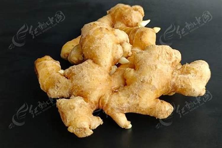 栽姜方法 姜如何栽种