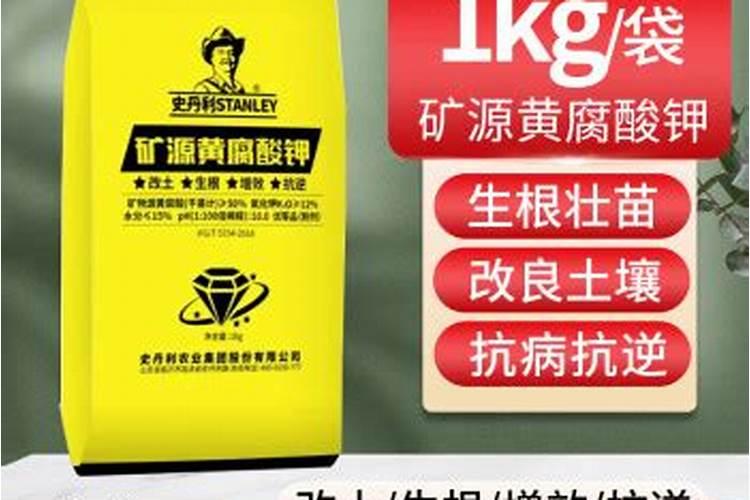 桃树膨大期专用增产叶面肥料？桃树结果期用哪种水溶肥效果好？