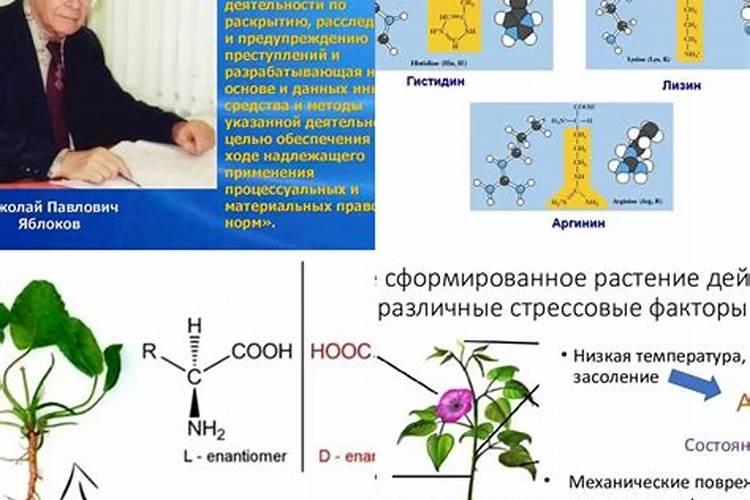 氨基酸钙叶面肥作用