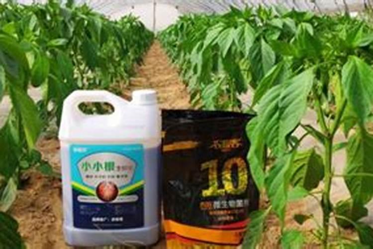 碧护和什么叶面肥搭配最好