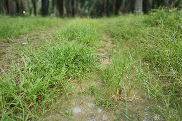 农作物该如何追肥？农作物追肥有什么好方法？