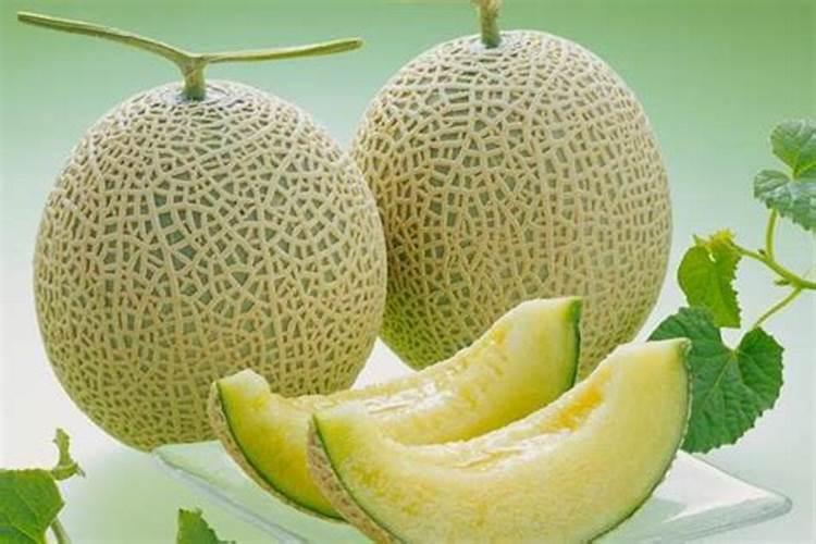 水溶肥哪个厂家好