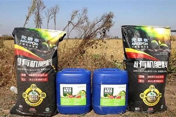 鱼鳞煮冻的正确方法 如何熬制鱼鳞冻