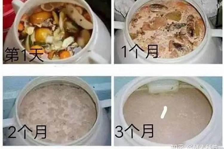 烂水果可以直接埋土里做肥料吗