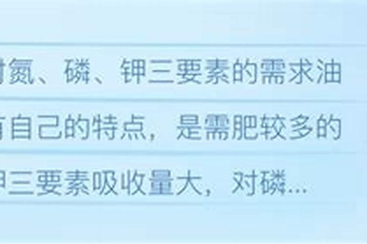 油麦菜 的种植方法？