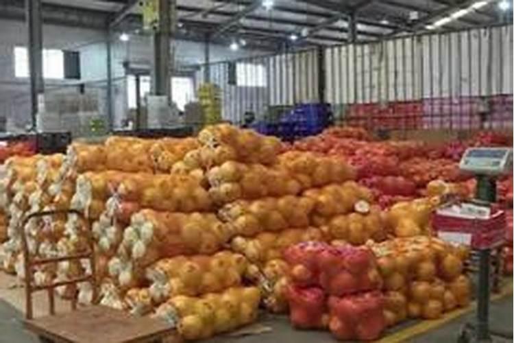 芒果如何种植能高产？芒果专用肥怎么选？