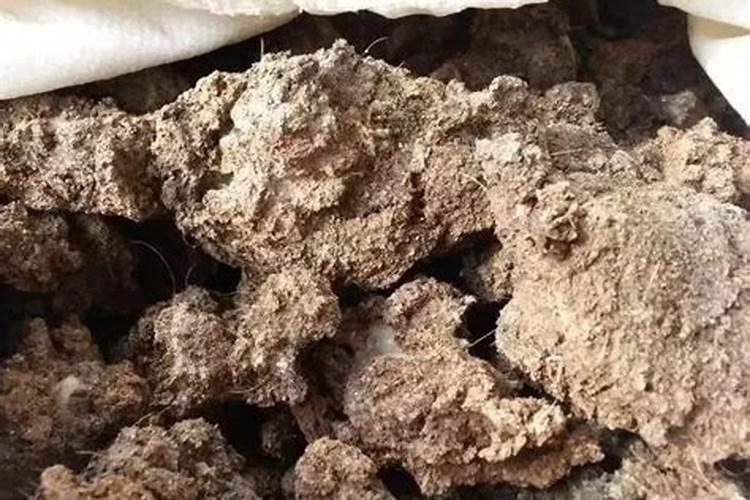 岩溶区生境异质性与适地适树,促进植被快速恢复