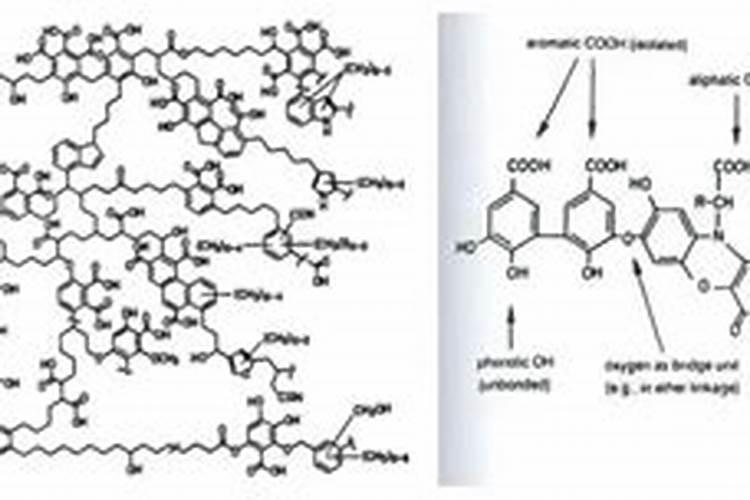 若辣椒出现倒伏问题,具体该怎么做？